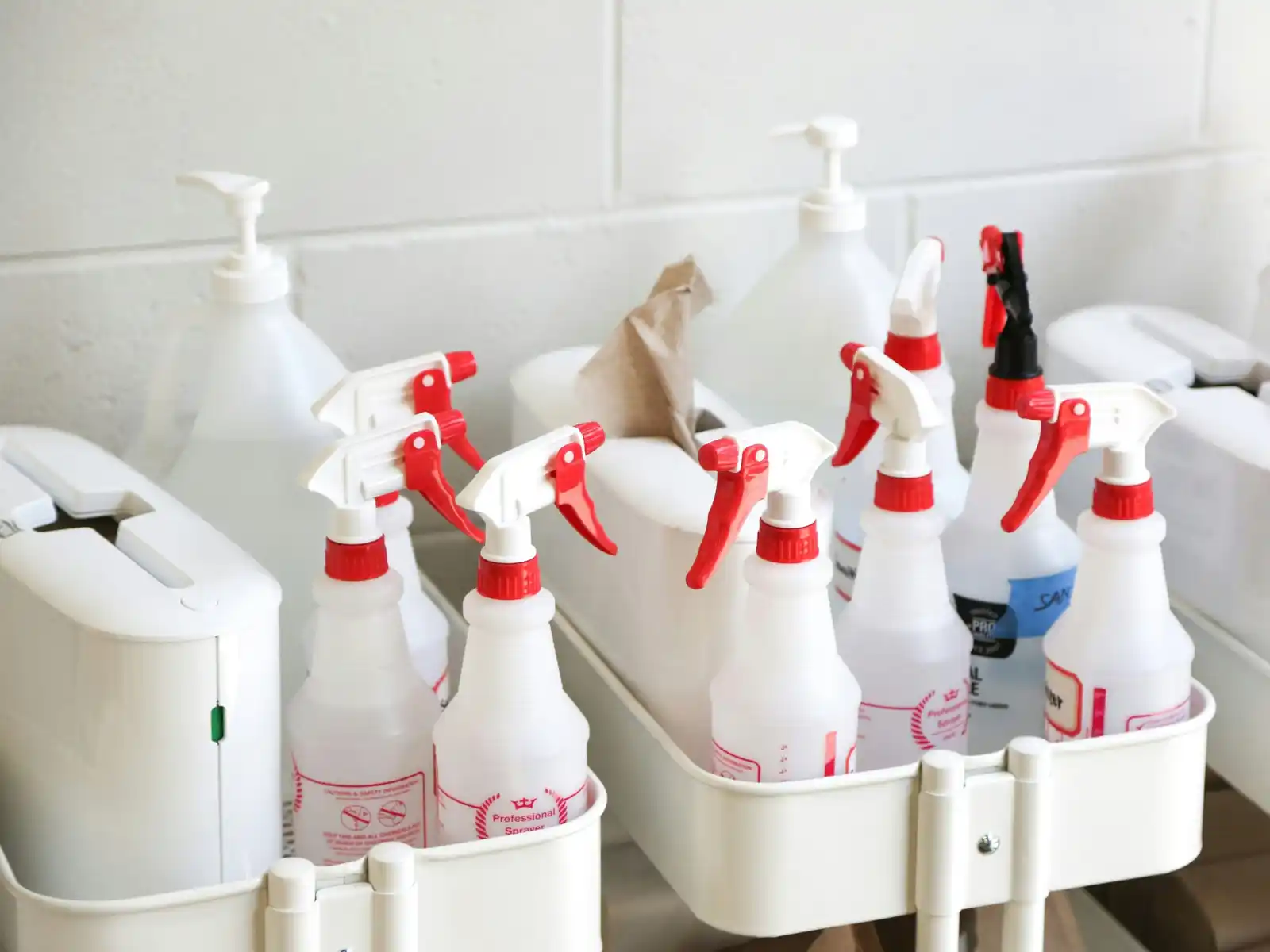 Professional cleaner at work